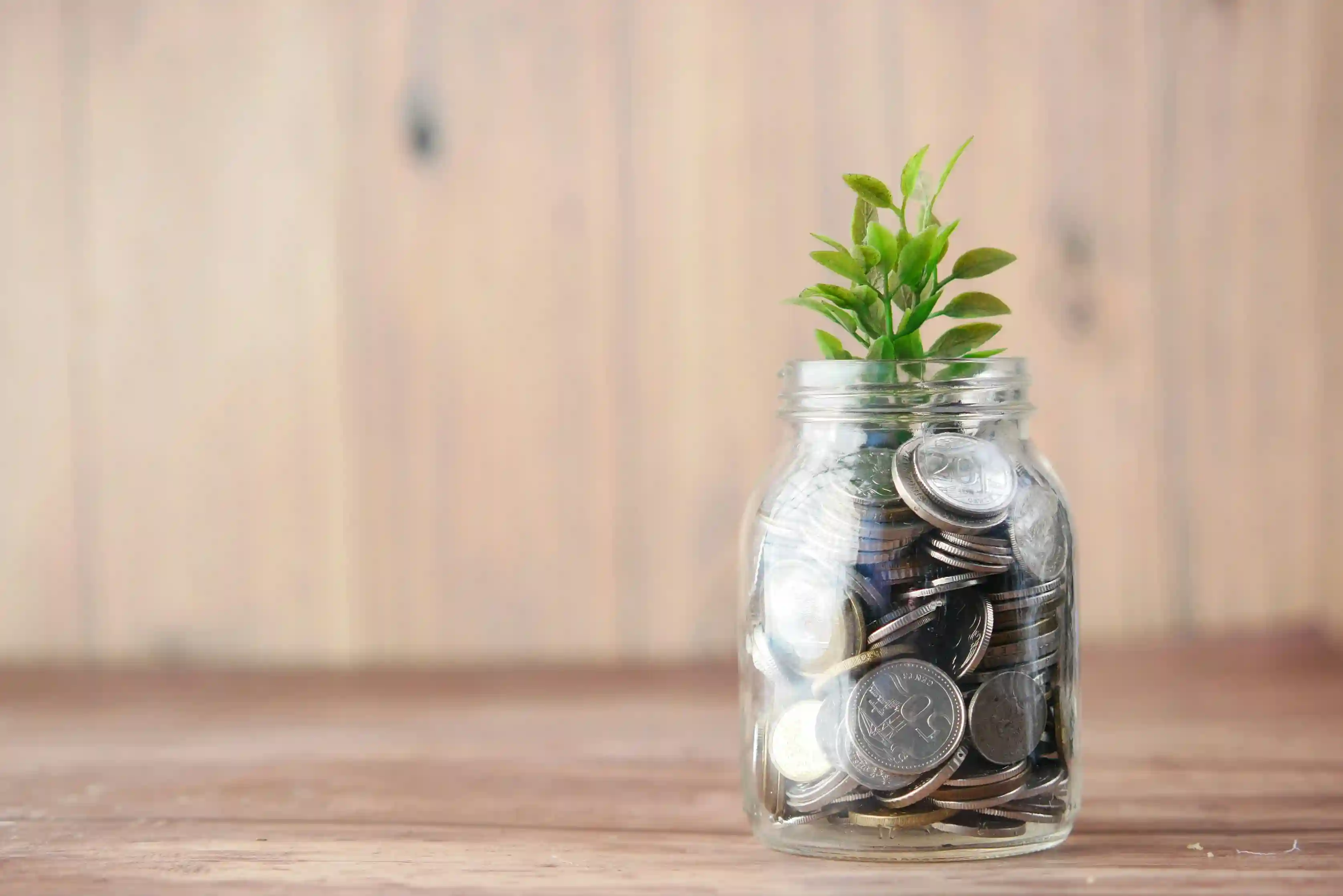 ROI Optimization Service